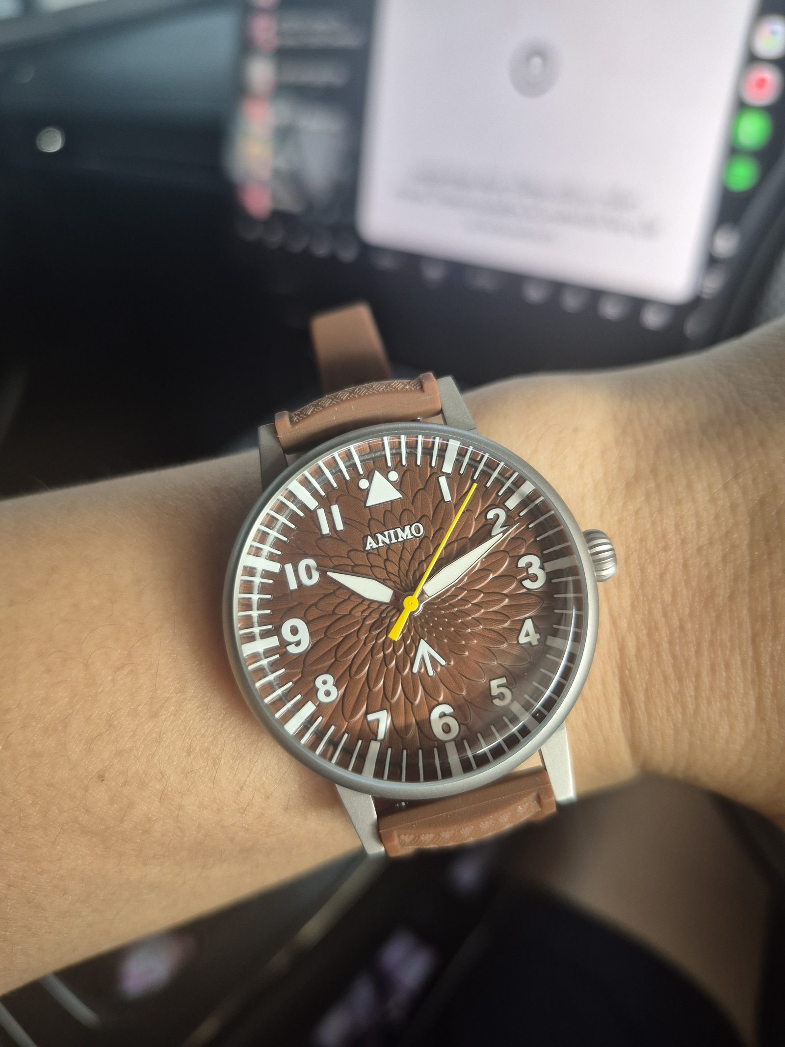 ANIMO Field Watch, Earth Brown, worn on the wrist — real production photo
